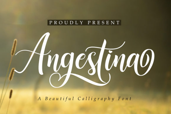 Angestina Font for Elegant Web Design