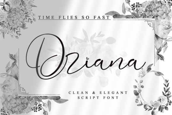 Driana: The Modern Script Font for Campaigns