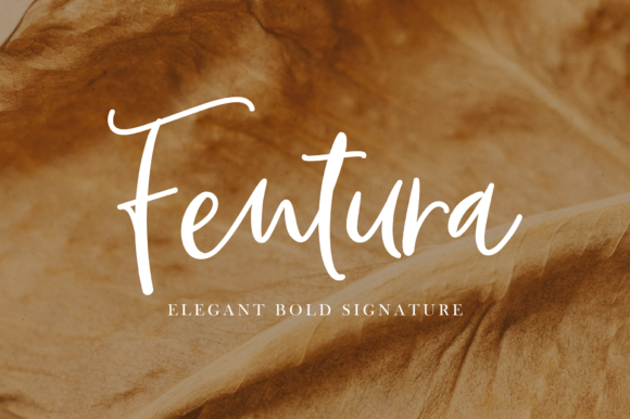 Fentura Typeface for Modern Web Design
