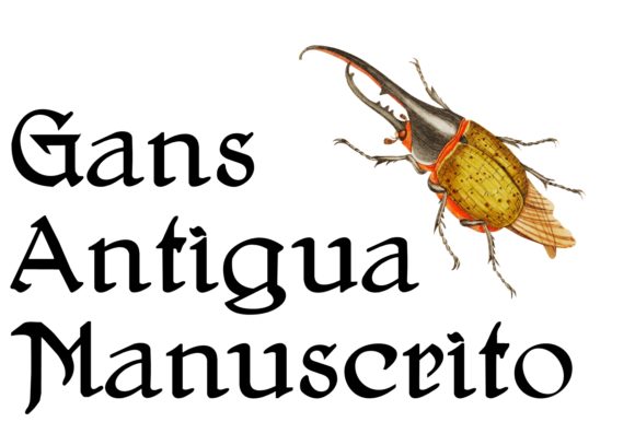 Gans Antigua Manuscrito: Elegant Script Font for Web Design