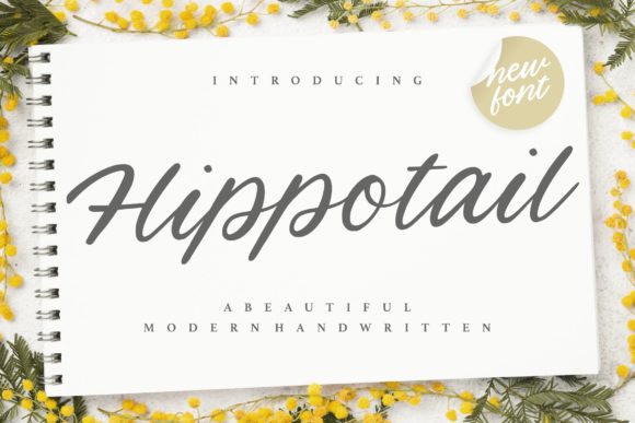 Hippotail Font Review for Elegant Branding