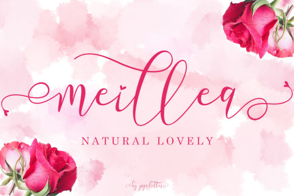 Meillea Font: Elevate Your Brand Identity