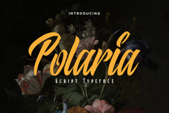 Polaria Font: Bold Script for Modern Branding