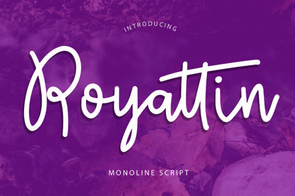Royattin Font: A Neat Script for Editorial Design