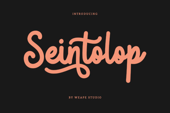 Seintolop Typeface for Handmade Creators
